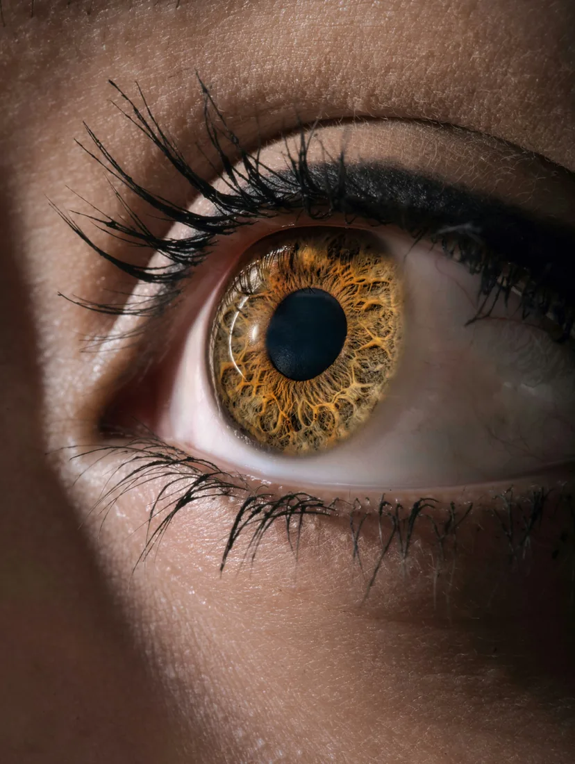 Eyelid lift — Levesque Plastic Surgery Austin TX